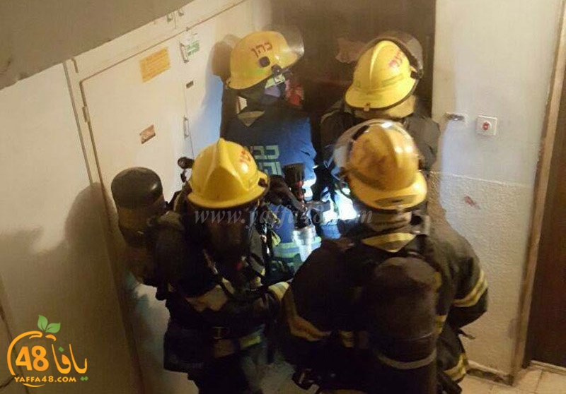 firei in lud aj (1).jpg